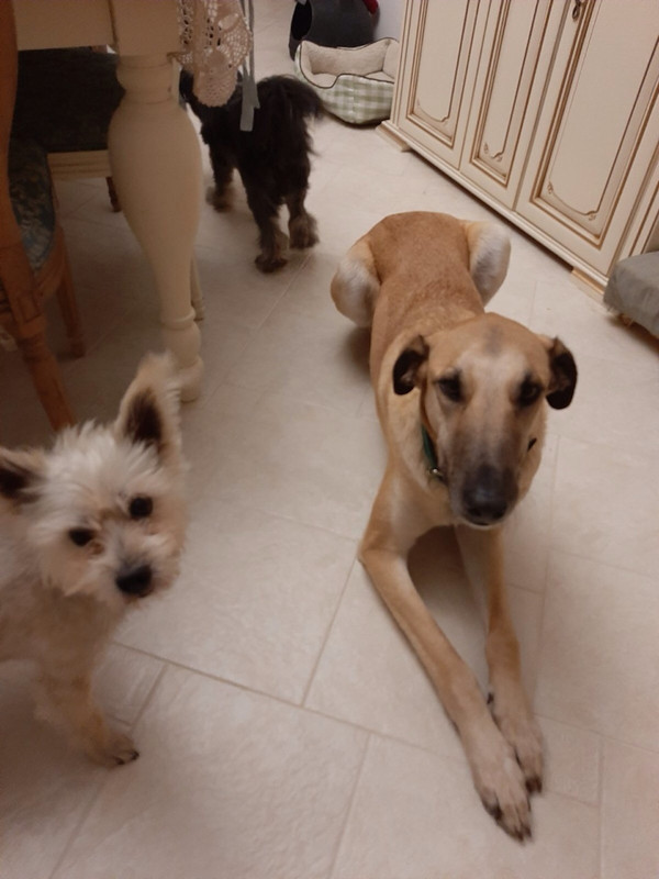 изображение_viber_2019-12-13_22-28-25