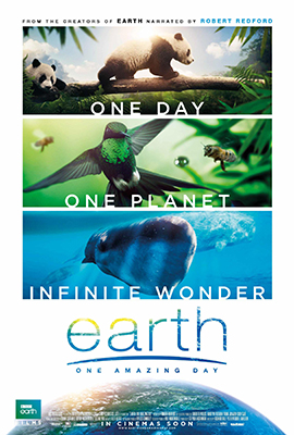 Earth - Un Giorno Straordinario (2018) .mkv DLMux 1080p E-AC3+AC3 ITA