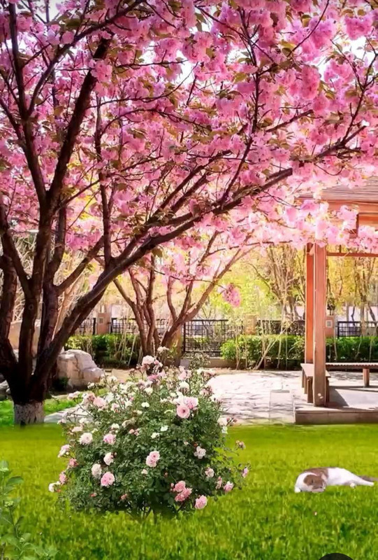 Screenshot_20230904_234400_Pinterest