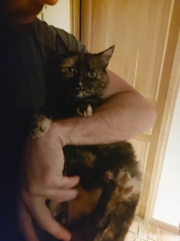 received_1344914313033659