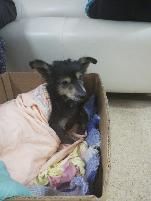 DA8CE71A-A7E7-4DAA-B30A-D0F355588EE1