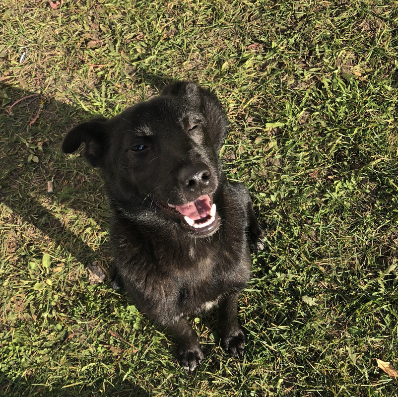 BA203D53-8D2E-4064-90CC-A21332BA733F