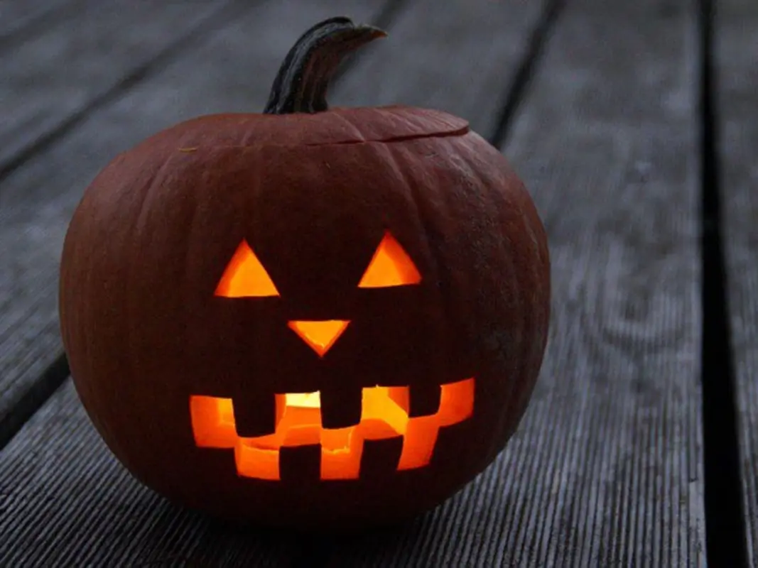 Pumpkins 0036