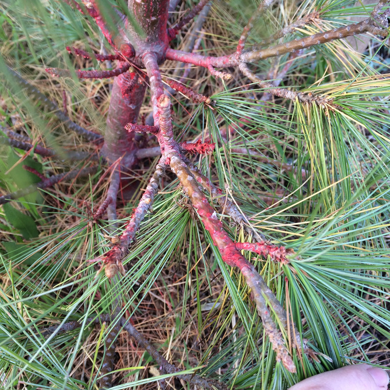 8D938AA6-D4BA-46E8-8E88-BDAB639786B2