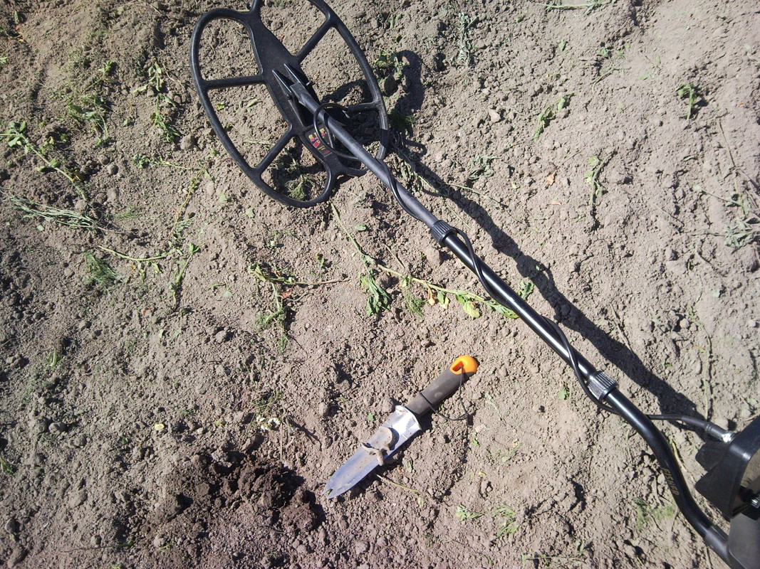 2014-07-05 @15-57-47 - pronssia Kemiöstä