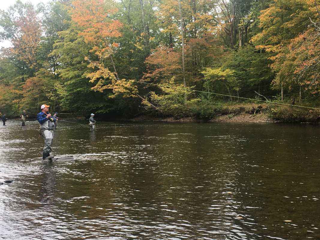 7472D462-DB18-4235-A550-DDB27DB60248