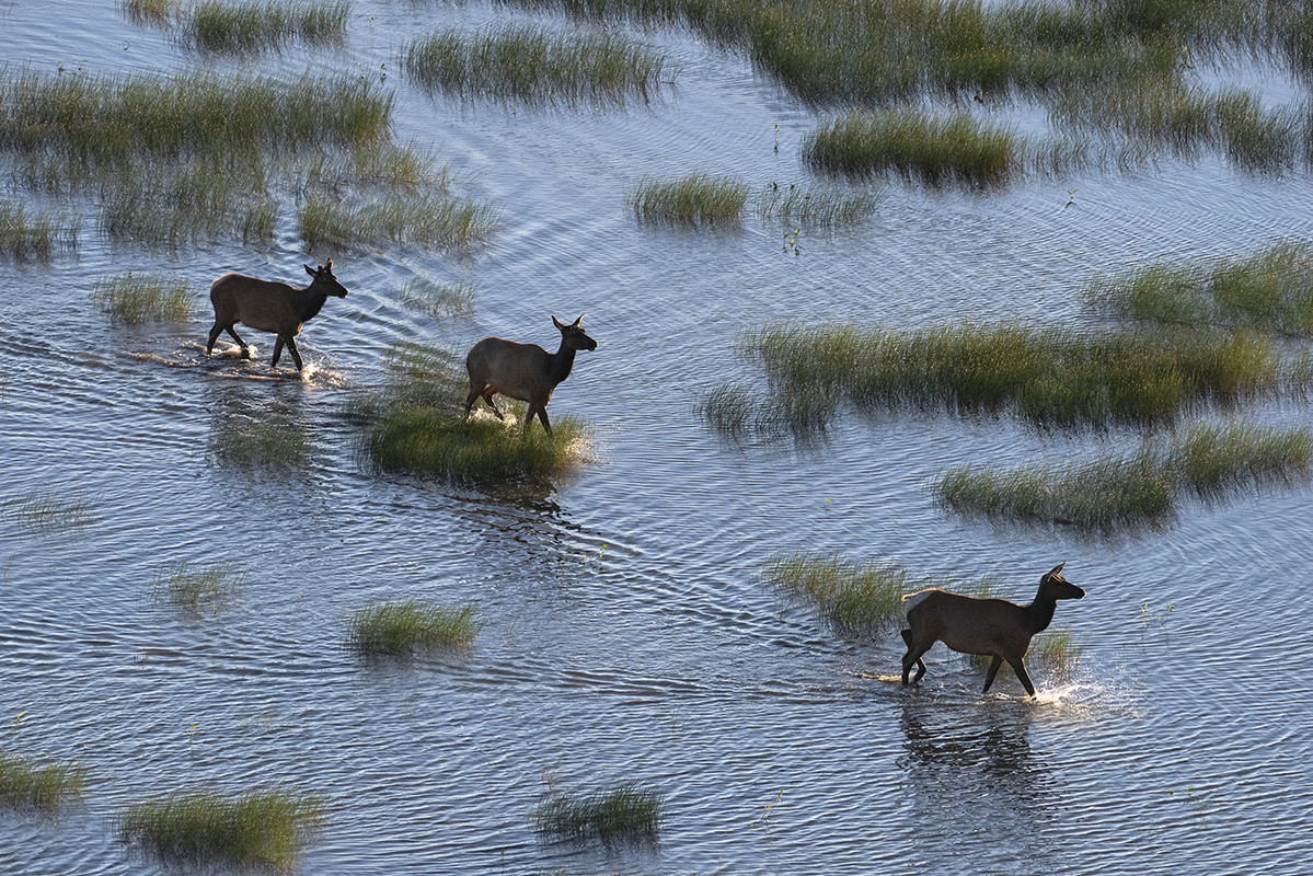 ed1400MormonLake7-2-19_0041
