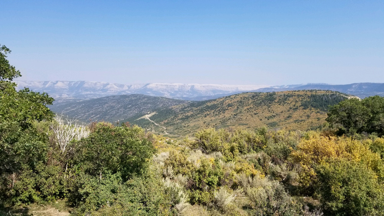 F583514A-EB4F-4AB7-A186-02967B49374B