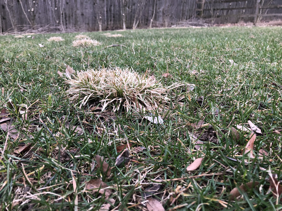 EFEC53A3-267C-432C-9128-1B40F2ABEB50