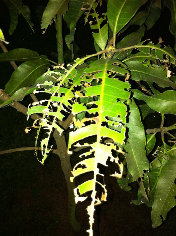 191638E1-E69C-4AE7-833F-749C9B5B3E4D-1495-000001