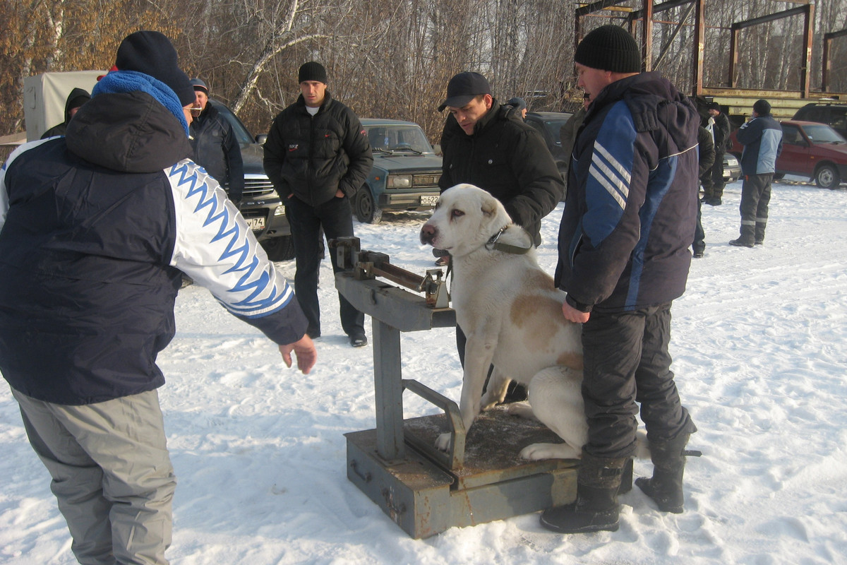 2009.11.21 Вес САЛИМ 65кг 2г (4)