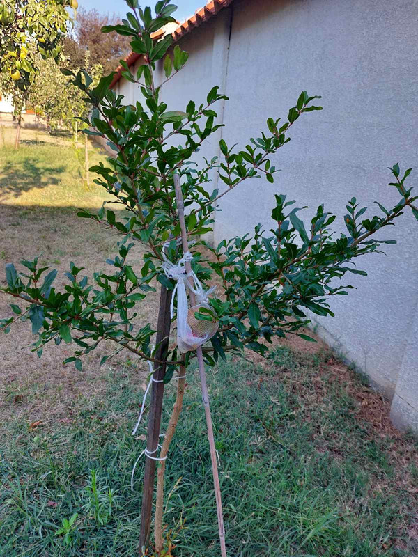 0-02-05-ae5e8bca0b78cba41282e7abfe0009bd0b2e6e57cf63fb8ea68de42c49397f6a_176b93233a7639ee