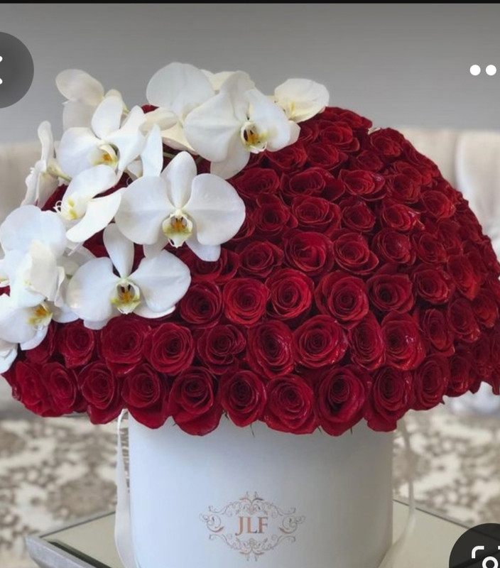 Screenshot_20230319_225905_Pinterest