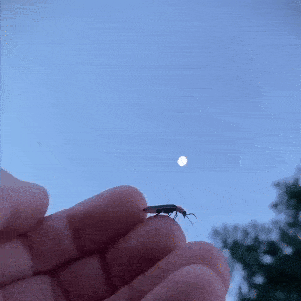 ezgif-3-46cc32bd65.gif
