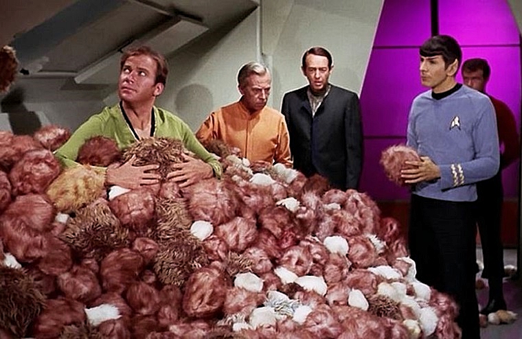 THEM-TRIBBLES-1-A-FOTOR.jpg