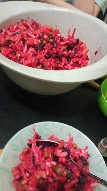 IMG_2023_12_10_18_49_49_9681991405976884006517