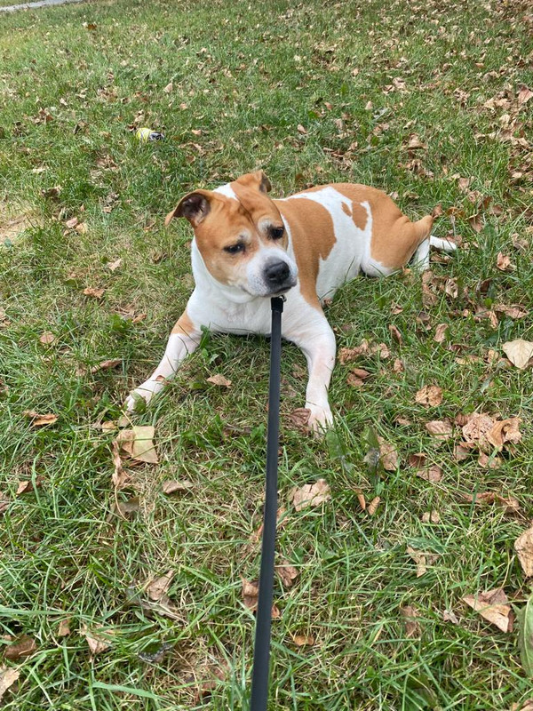 5A687CFA-6413-42DA-9411-BFC4FEC38304