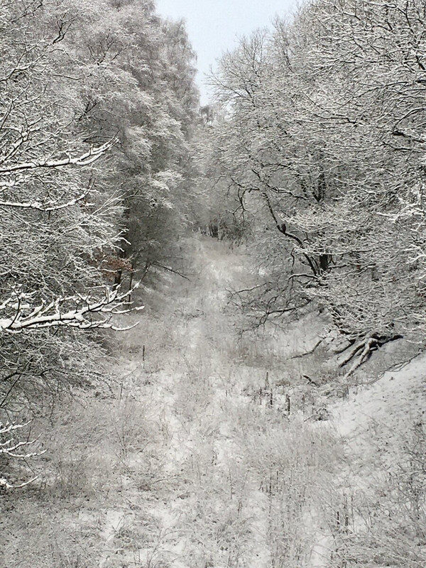 182E8784-2C3F-49C4-B317-A11E2CCBF25F