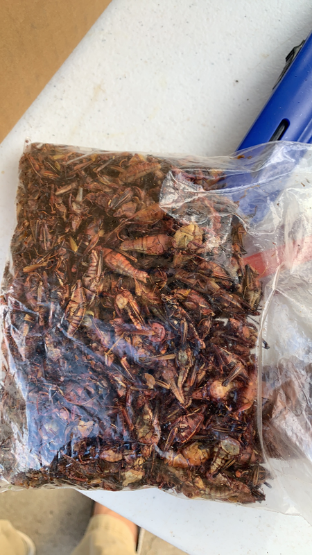 F38AA030-A0F5-401B-9BD3-2019B3B19781