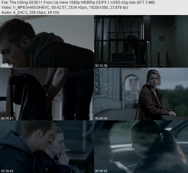 The Killing S03E11 From Up Here 1080p WEBRip DDP5 1 H265-d3g