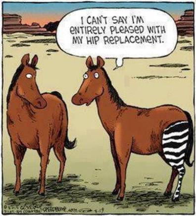 Hip-Replacement