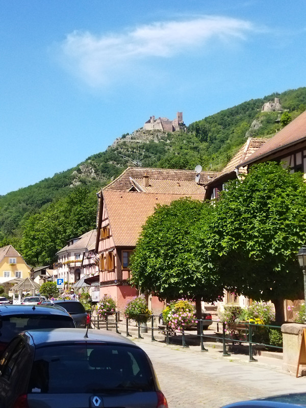 014 - IMG_20220712_134157