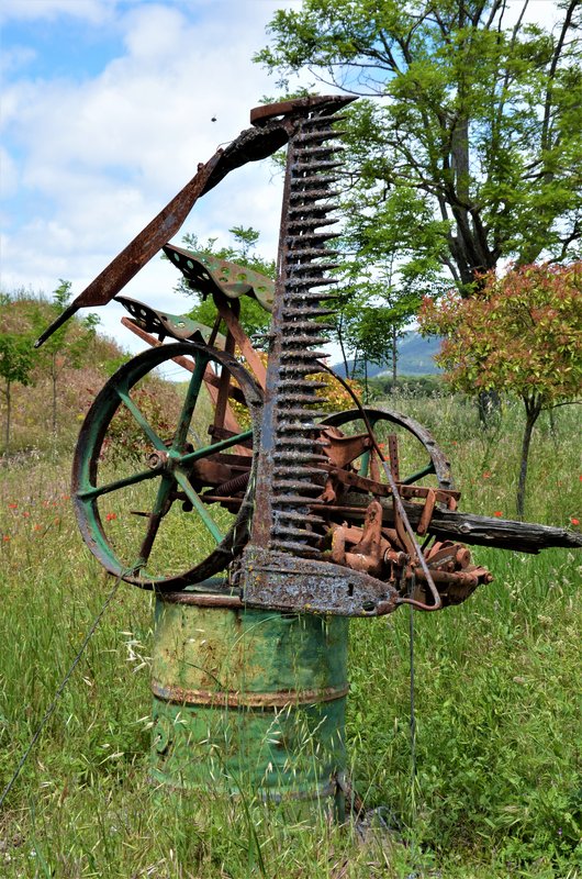 LOS BARRIOS DE BUREBA-23-6-2013-BURGOS - Paseando por España-1991/2016 (4)