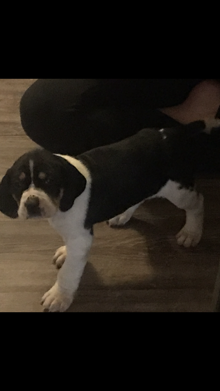 C38141B4-7A2F-409E-A819-6EA2C283AA71