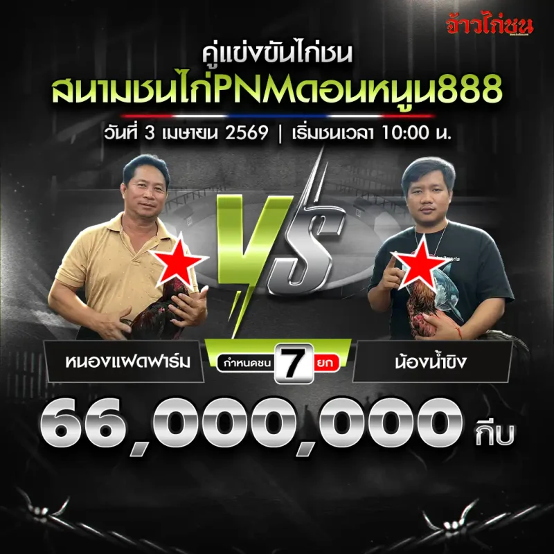 หนองแฝดฟาร์ม vs น้องน้ำขิง โปรแกรมไก่ชน PNMดอนหนูน888