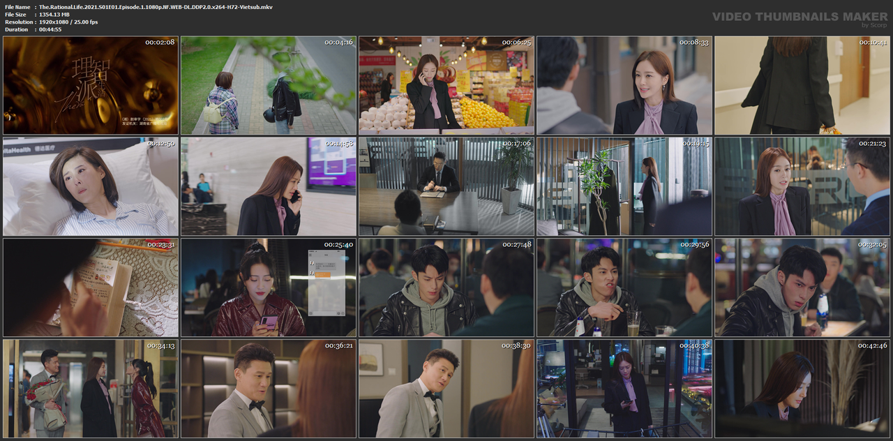 The.Rational.Life.2021.S01E01.Episode.1.1080p.NF.WEB-DL.DDP2.0.x264-H72-Vietsub.mkv