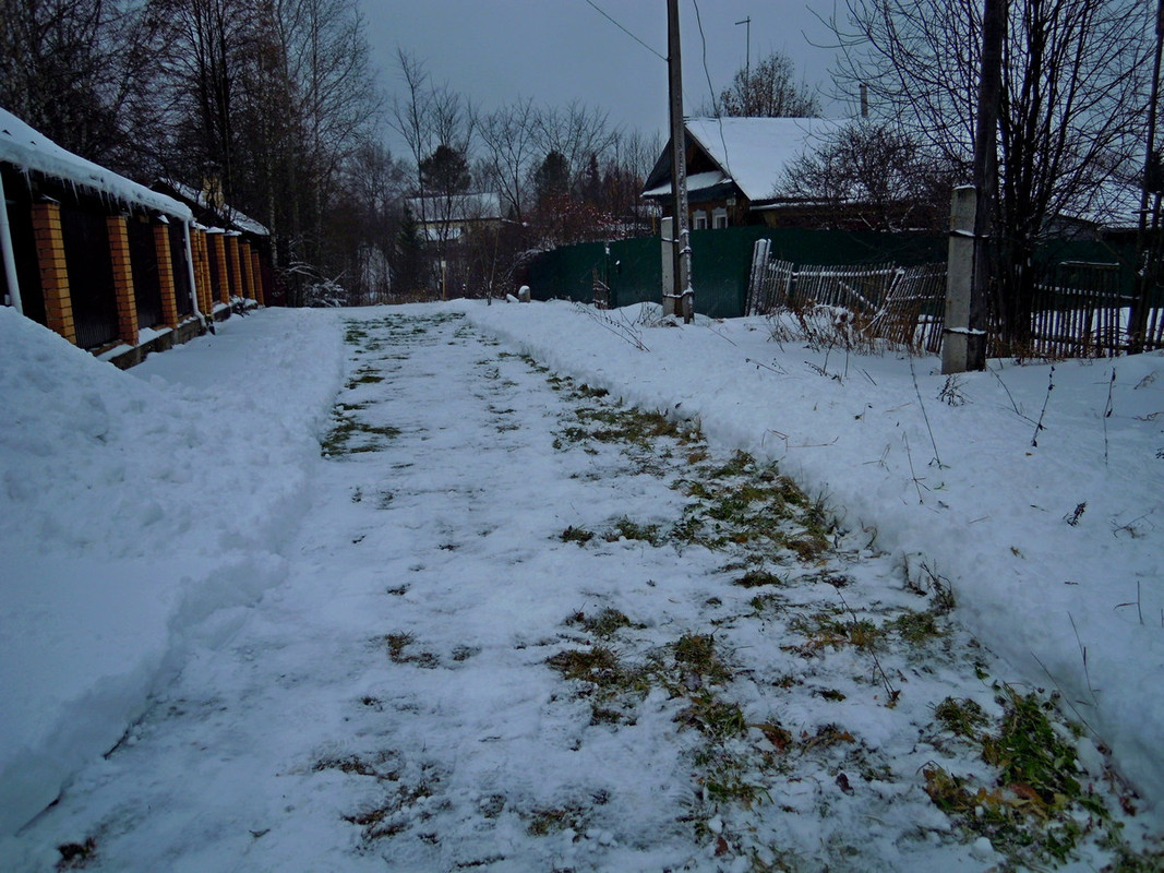 DSCN4158.jpg
