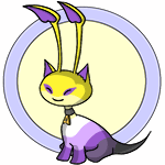 nonbinary aisha