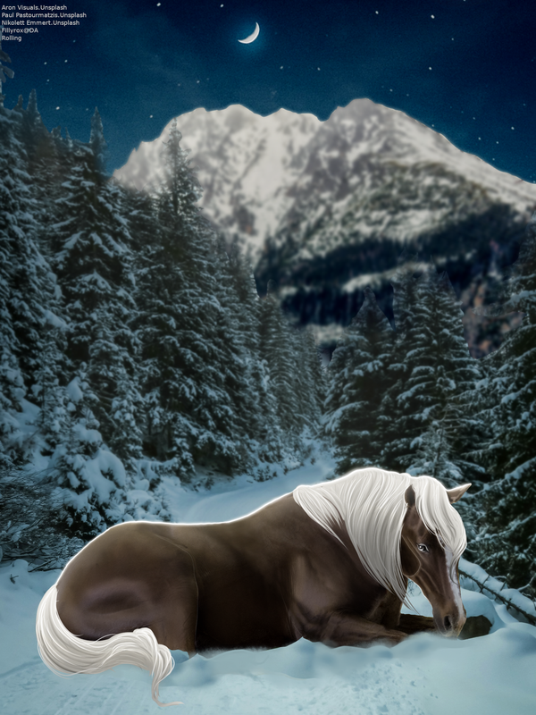 Moonlight-Horse.png