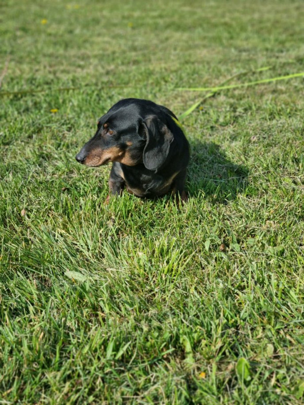 [Image: image000000-91.jpg]