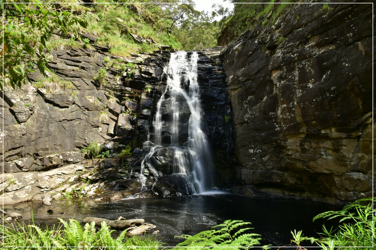 Great Ocean Road - Australia (I): toma de contacto (13)