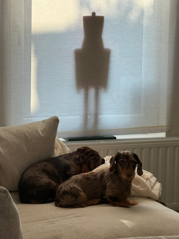 [Image: IMG-20251226-WA0009.jpg]