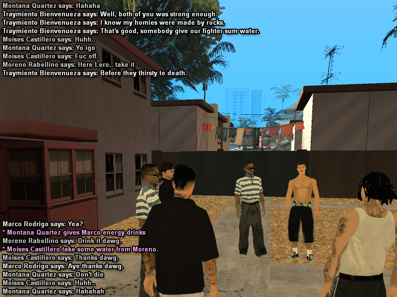 SS7.png