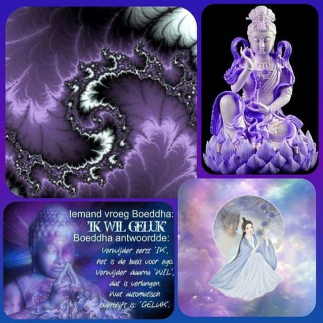 122974979-2737359259850751-5799605100929367463-o