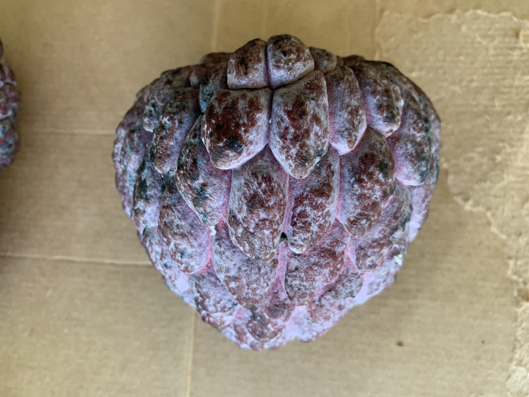 14DB3C68-A4BD-49DA-AE1F-484E07E26C45