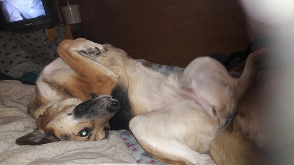 74D102FA-67D8-4C80-A4F5-23A99BBB5245