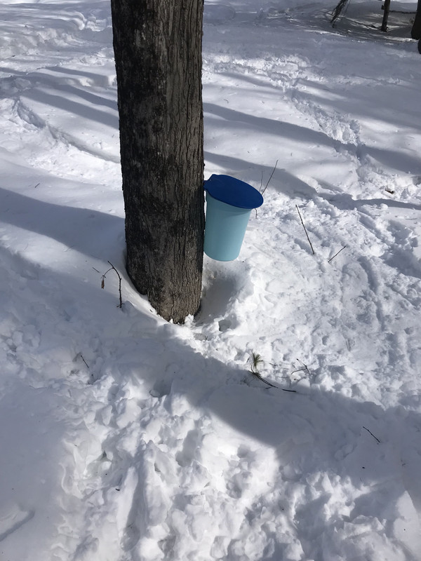 EEBA5806-23A2-46CB-B1E4-F192D6D7A4E8