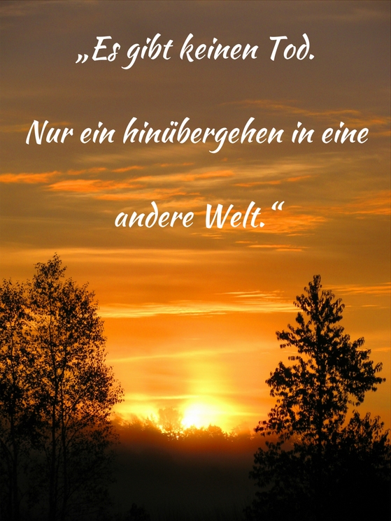 [Bild: zz000064.jpg]