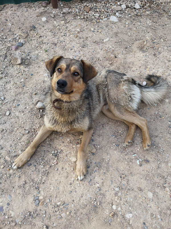 6684269B-3639-4380-A14E-E819010521F1