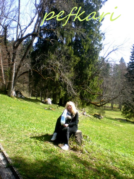 Slika