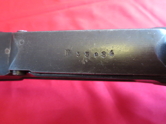 IMG-3562
