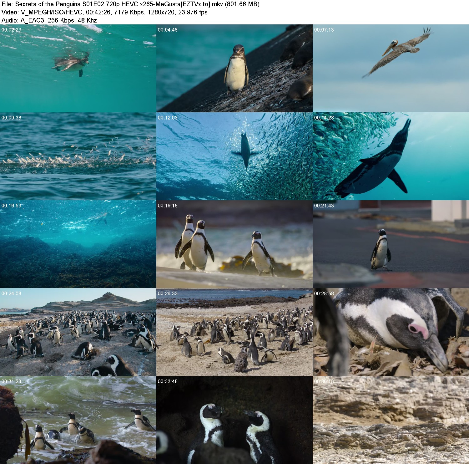 [Image: 6fzo1nz3hg3u.jpg]