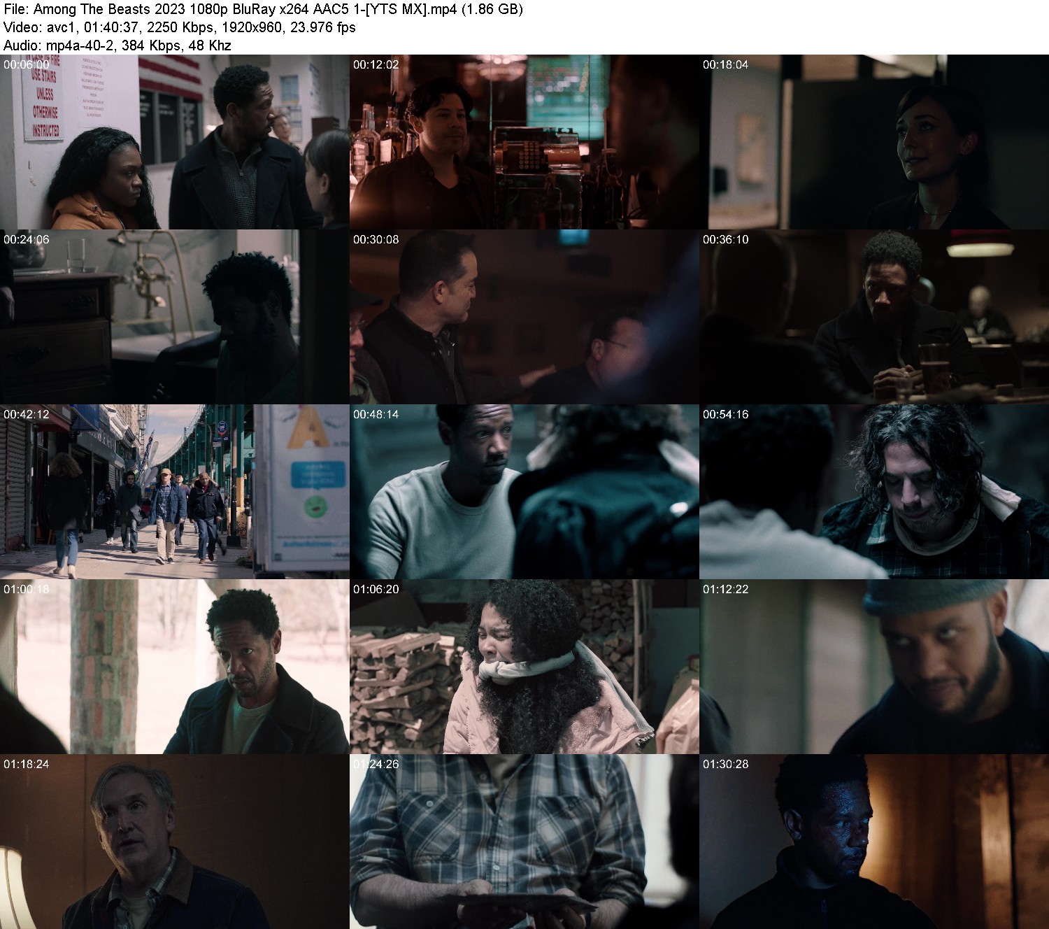 [Image: vp1uxpf42z0e.jpg]