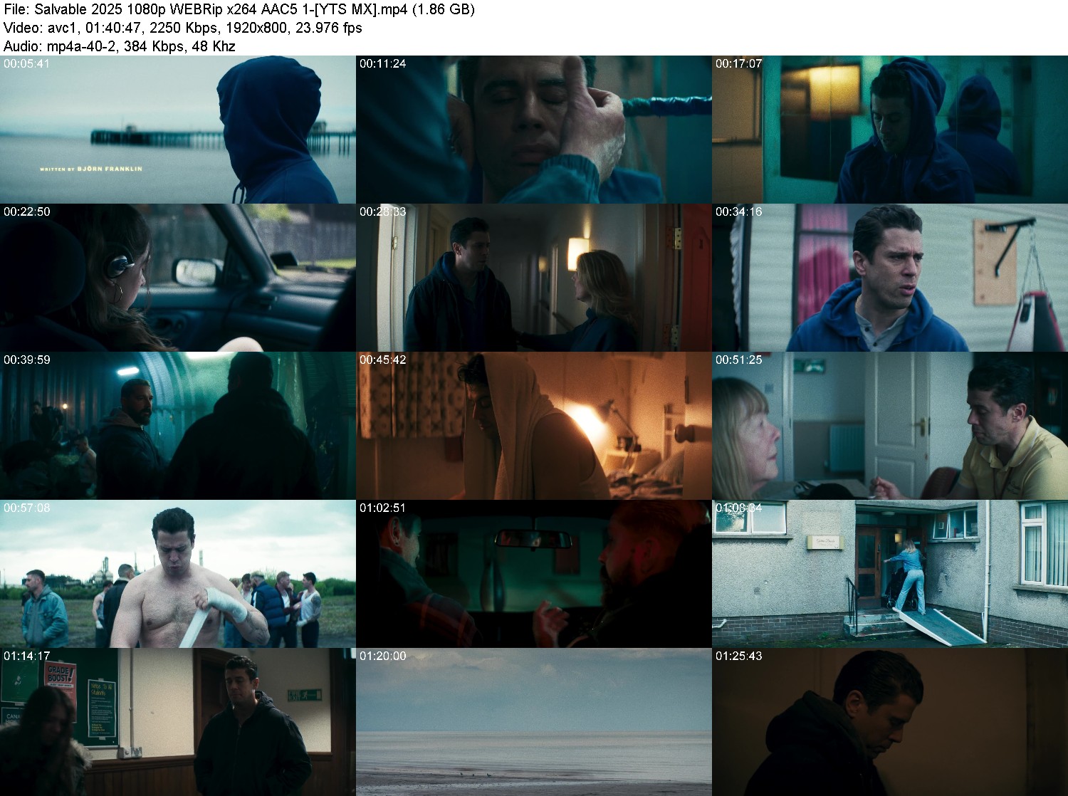 https://i.postimg.cc/KxL6cp75/9olwaky8k02o.jpg