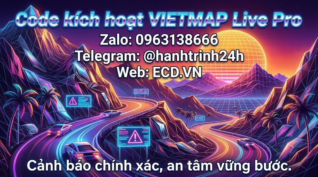 vietmap pro flash sale