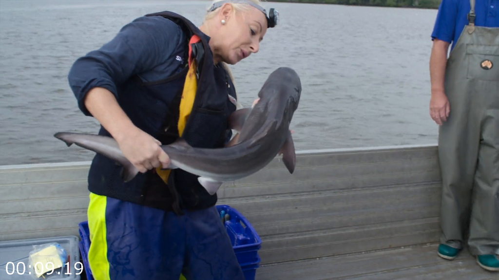 [Image: a892cwg9yyrk.png]